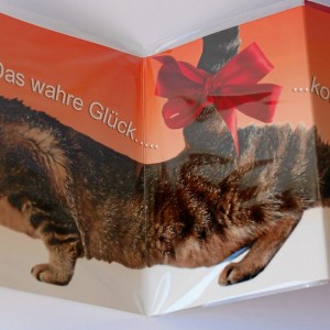 Leporellokarte zum Aufklappen mit Umschlag - Katze