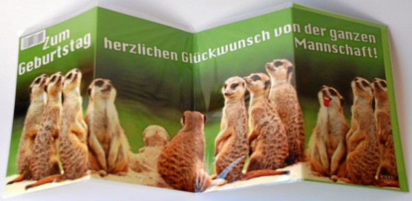 Leporellokarte zum Aufklappen mit Umschlag - Erdhörnchen