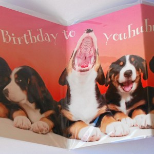 Leporellokarte zum Aufklappen mit Umschlag - Hunde