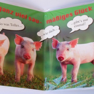 Leporellokarte zum Aufklappen mit Umschlag - Schweinchen