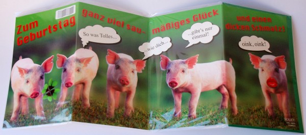 Leporellokarte zum Aufklappen mit Umschlag - Schweinchen