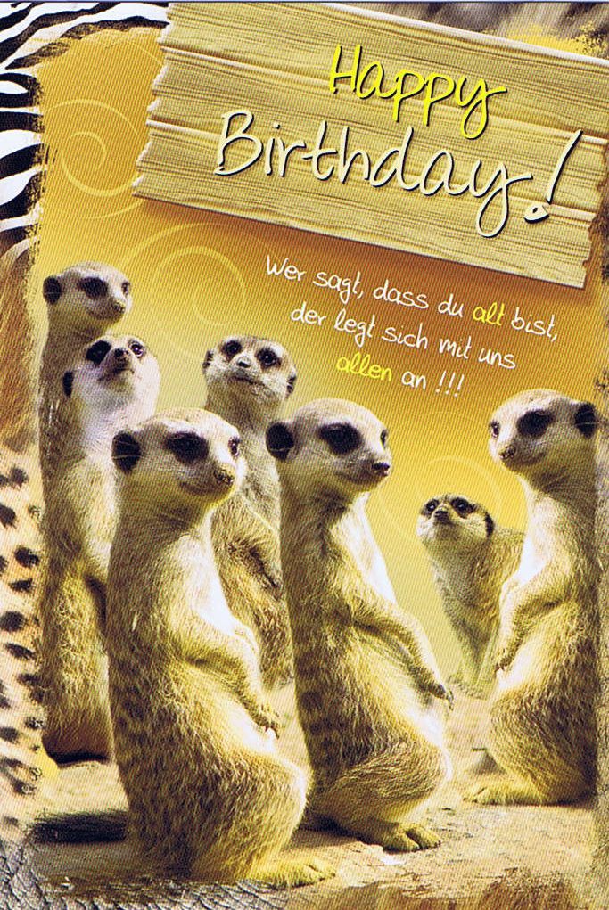 Geburtstagskarte mit Tiermotiv, Happy Birthday, Erdhörnchen