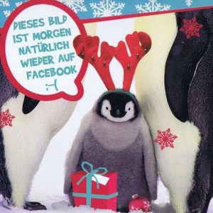 Kleine lustige Weihnachtskarte - Pinguin