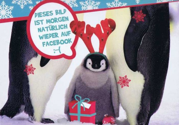 Kleine lustige Weihnachtskarte - Pinguin