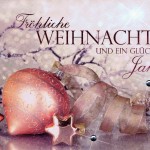 Weihnachtskarte mit Steinchen - Weihnachtsschmuck