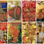 Weihnachtskarten 8 Stück: Weihnachtsmotive mit Glimmer