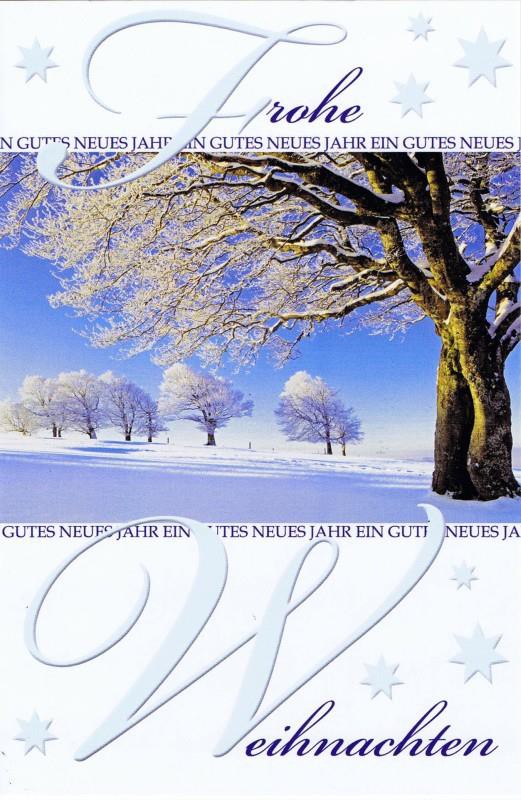 Weihnachtskarte Winterliches Motiv (22-3595)