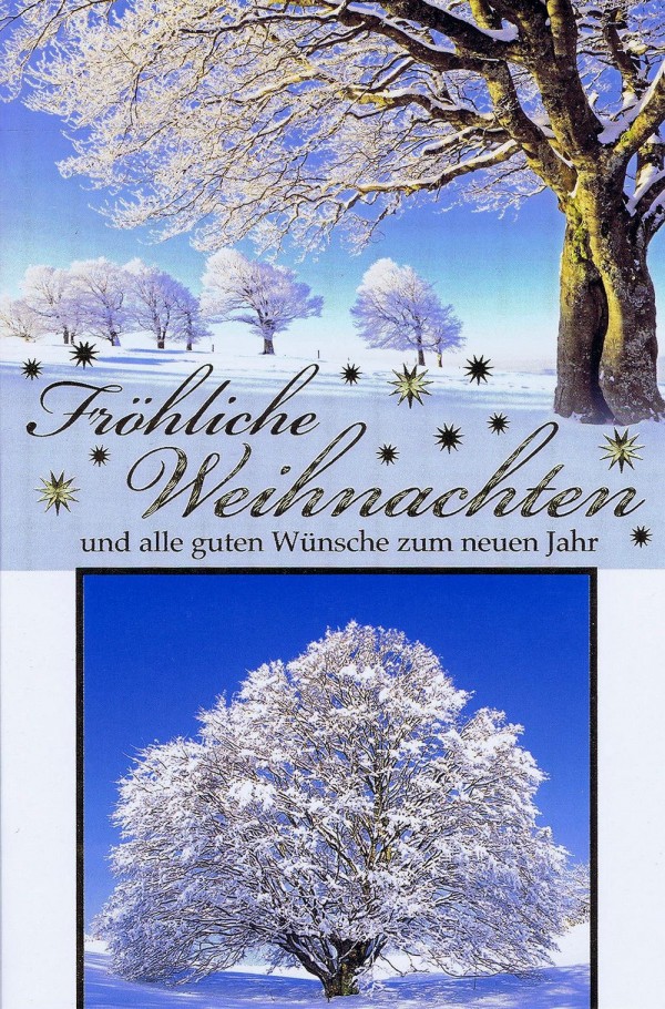 Weihnachtskarte Motiv: Winterlandschaft 224128