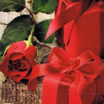 Karte zum Valentinstag mit roter Rose VT101
