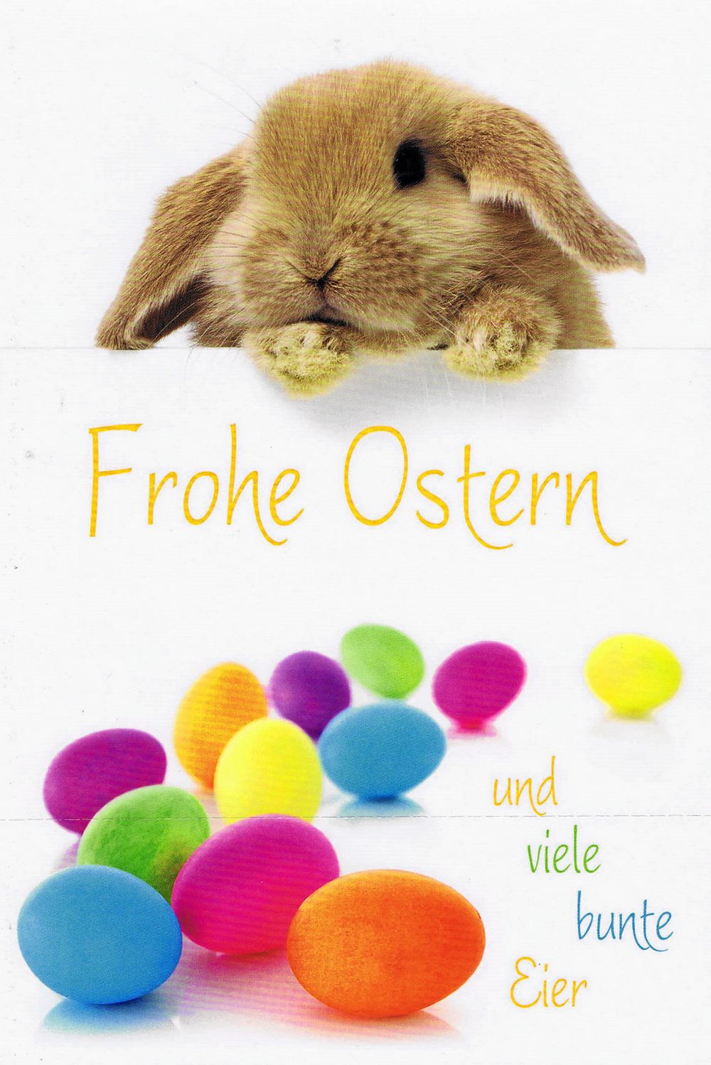 Osterkarte - Osterhase und viel Bunte Eier O136